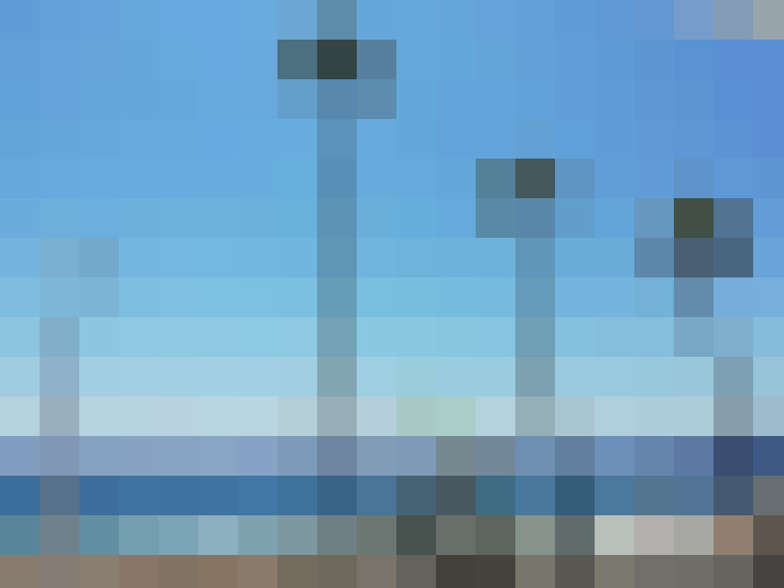  / #7