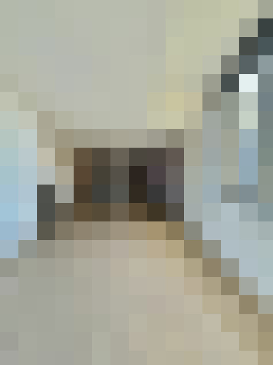  / #9