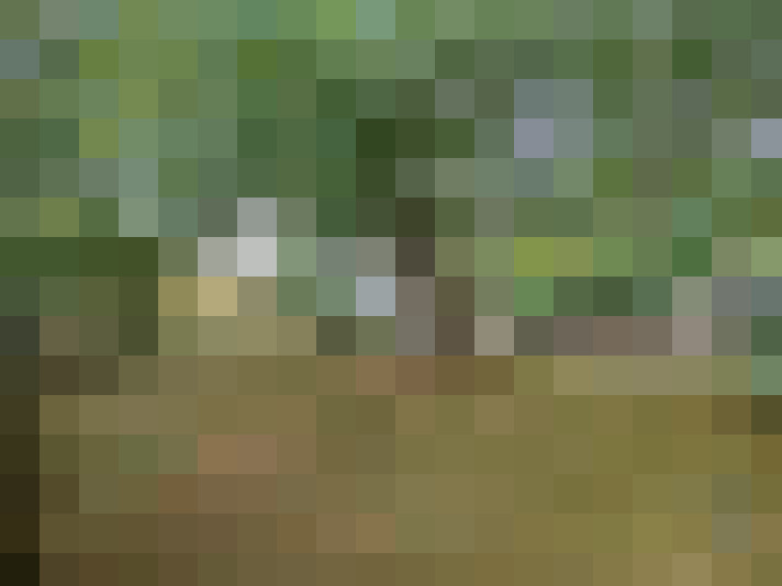  / #16