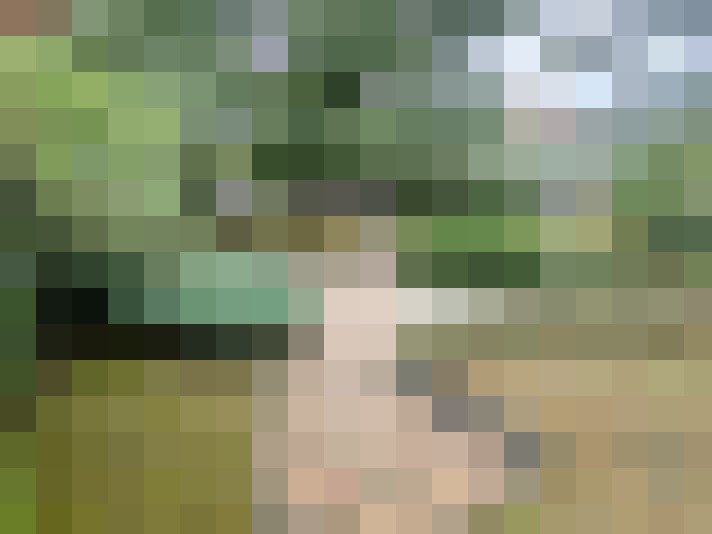 / #18
