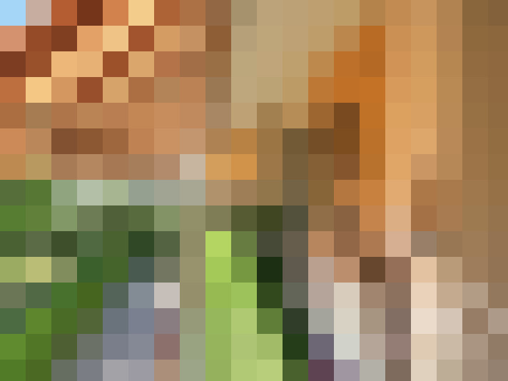  / #14