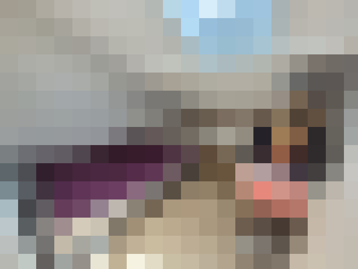  / #14