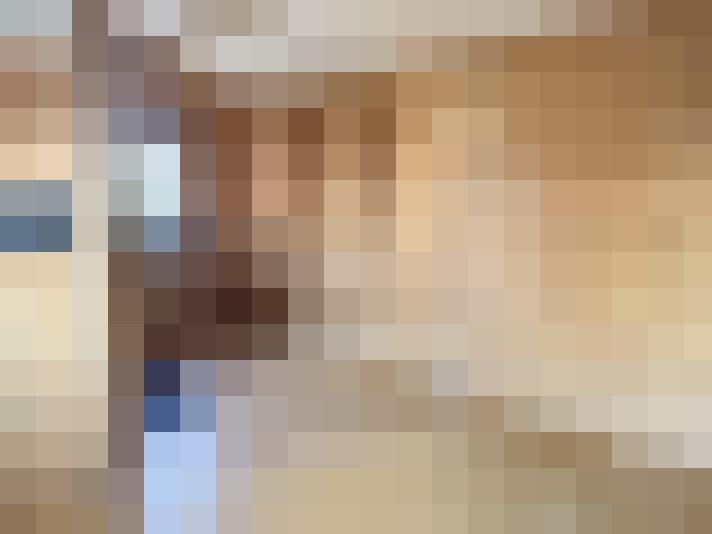  / #8