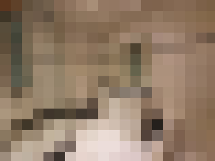  / #6