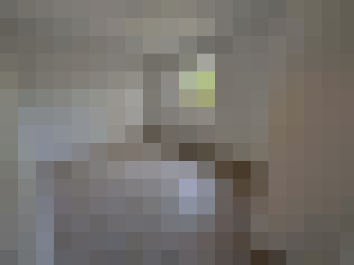  / #14