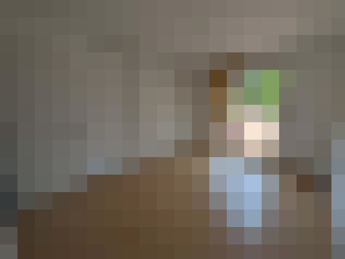  / #24