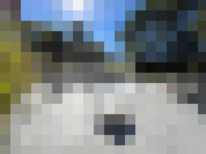  / #15