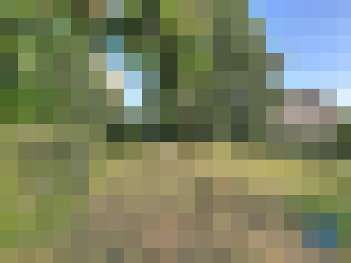  / #17
