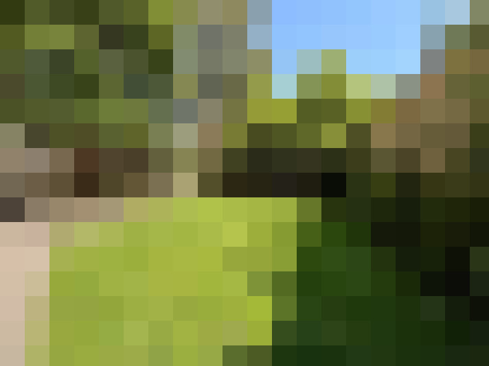 / #15