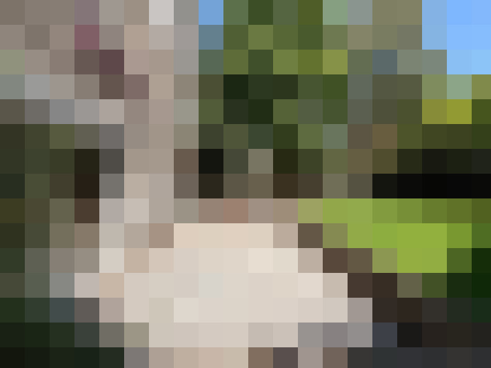  / #16