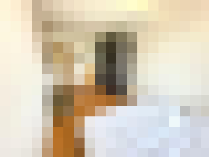  / #15