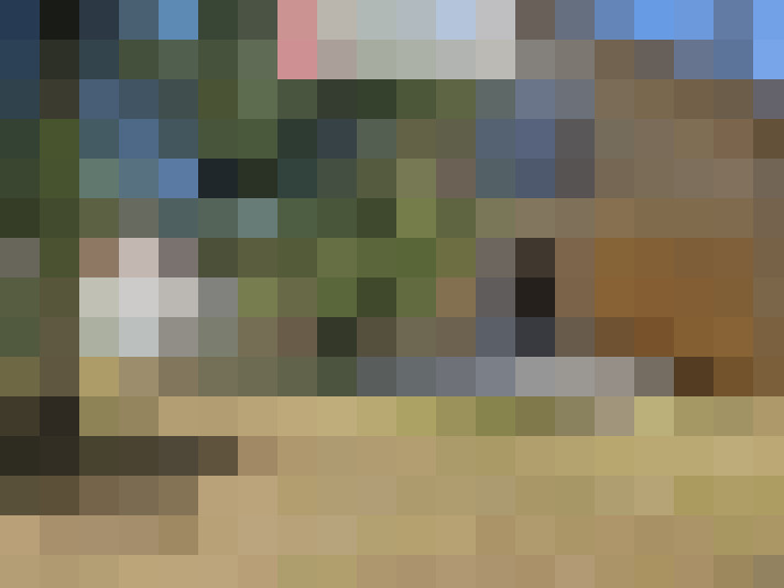  / #19