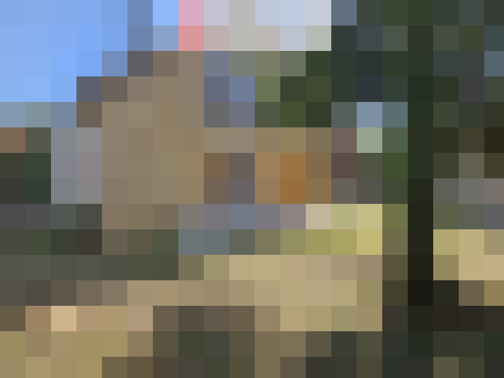  / #20