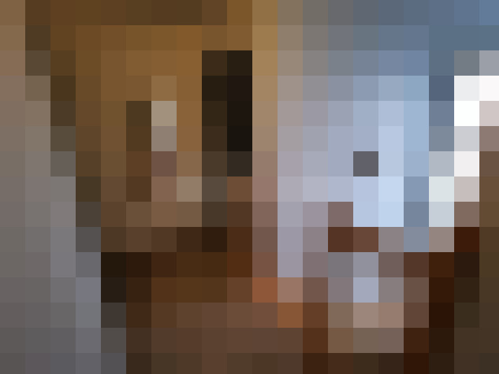  / #12