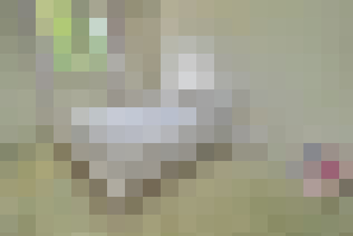  / #11