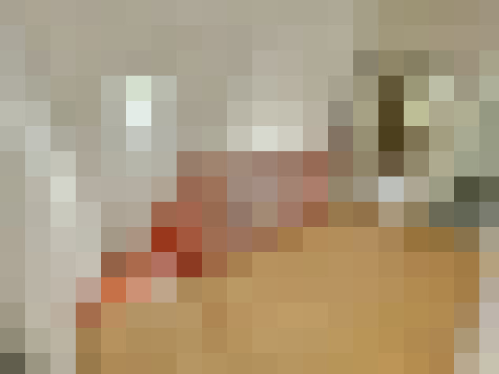  / #14