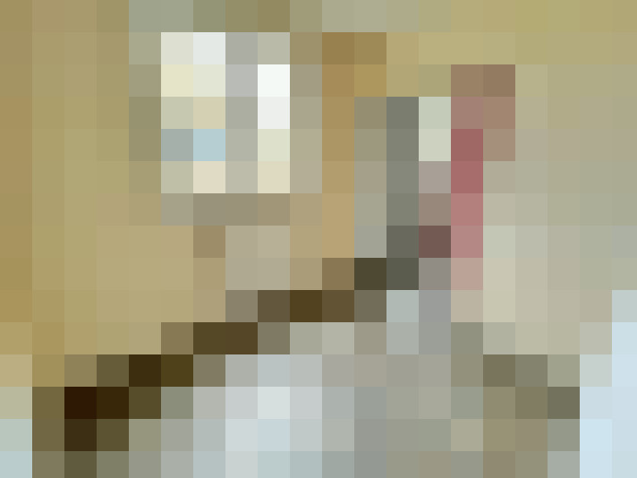  / #7