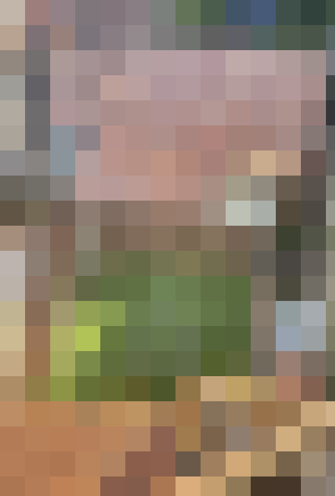  / #19