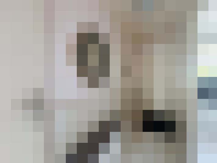  / #8