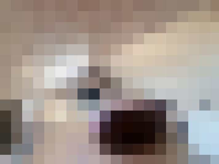  / #17