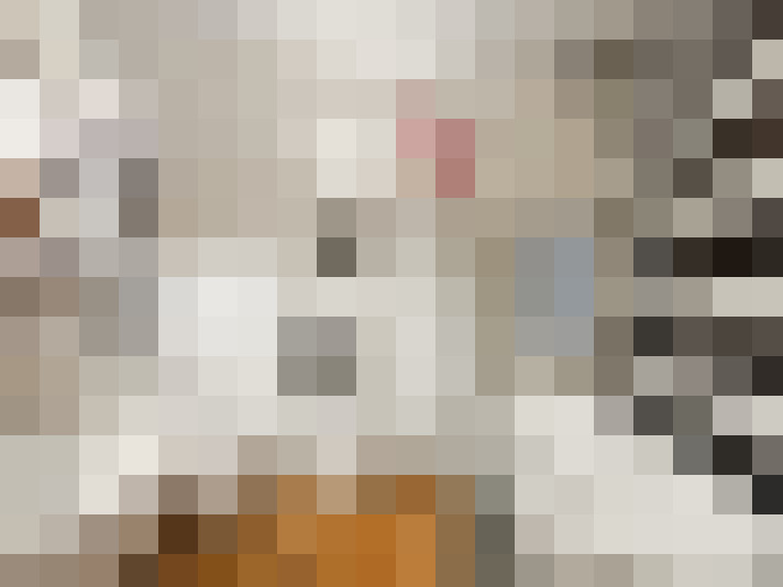  / #22