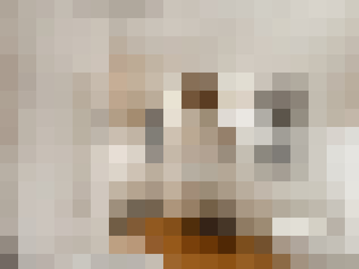  / #24