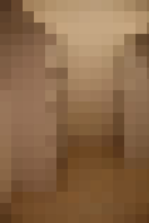  / #15