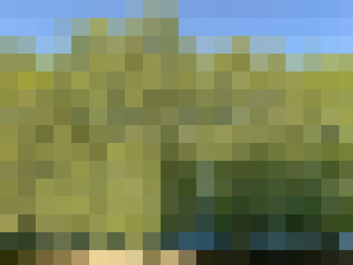  / #14