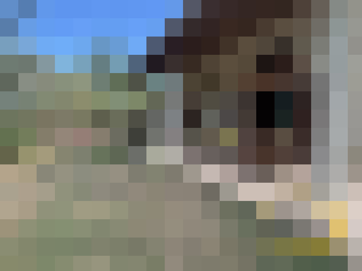  / #18