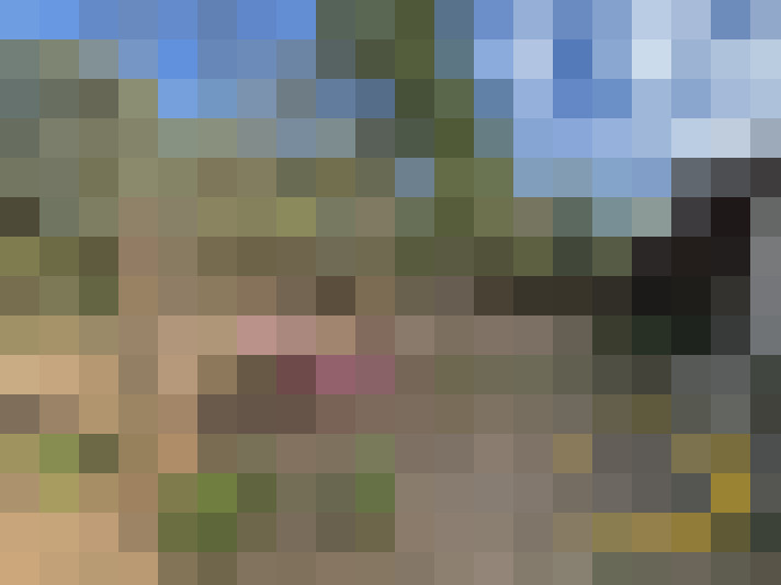  / #19