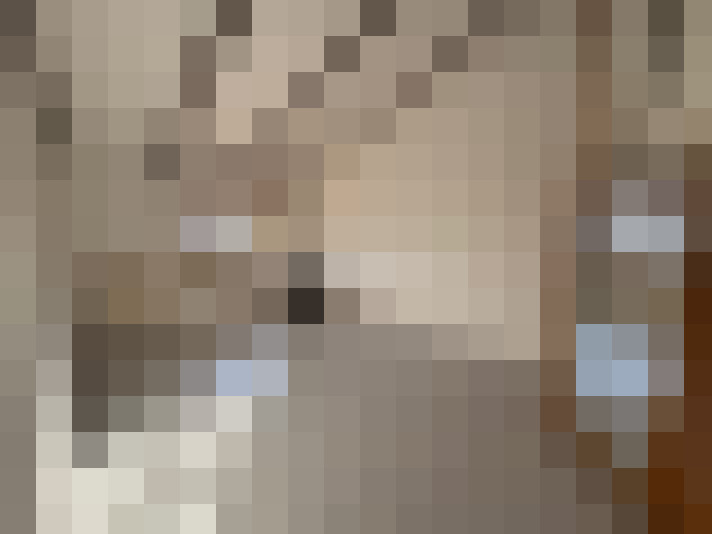  / #12