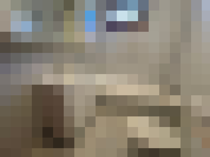  / #15