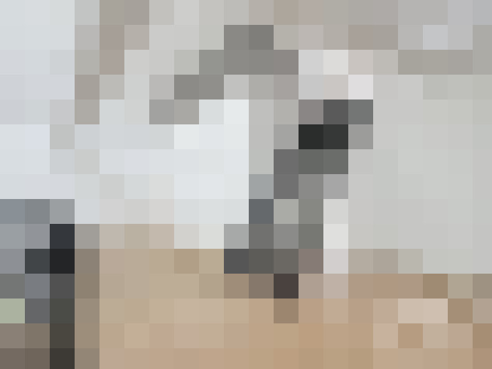  / #15