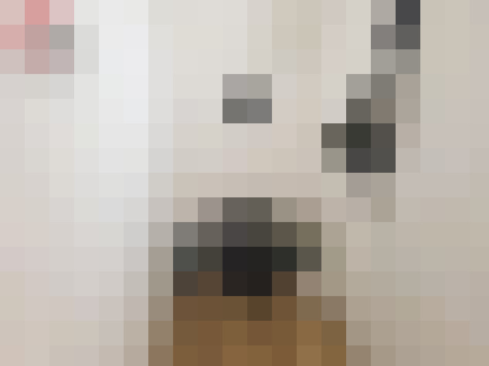  / #16