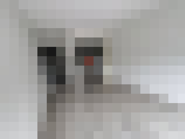  / #8