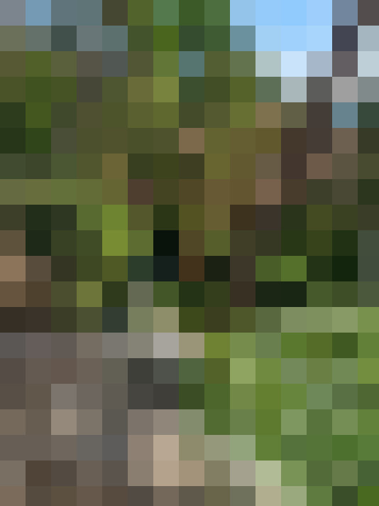  / #20