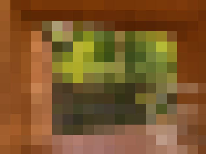  / #16
