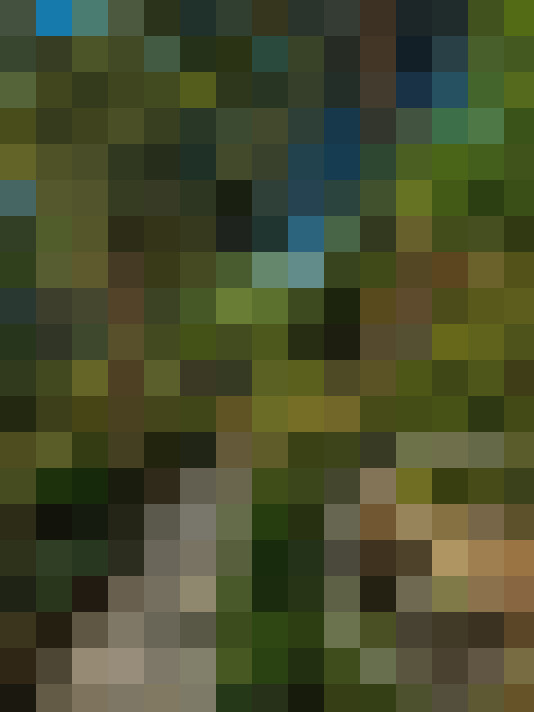  / #17