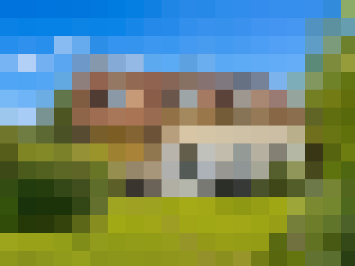  / #8