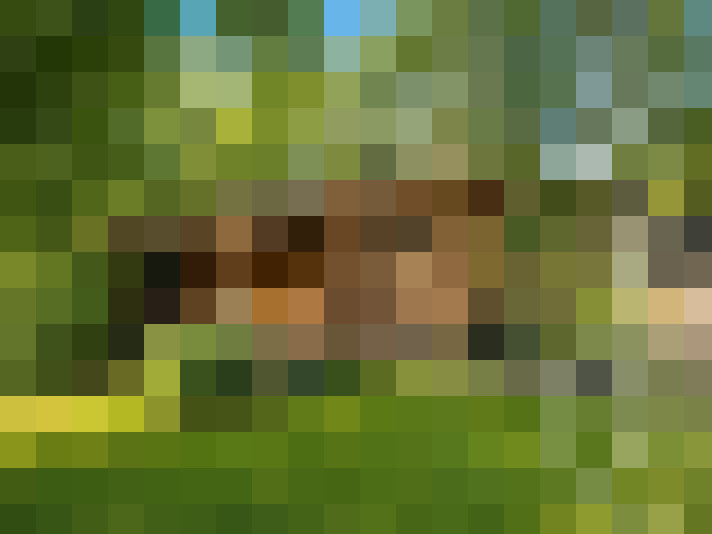  / #7