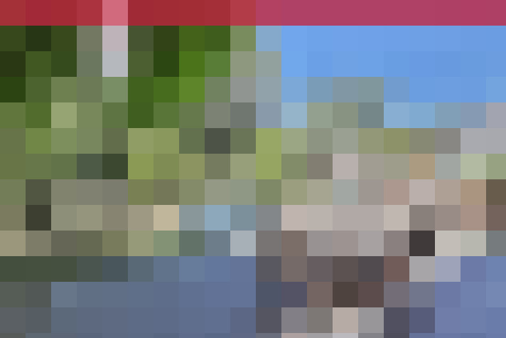  / #11