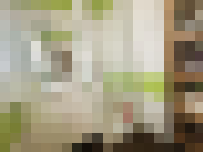  / #13