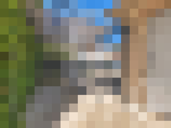  / #19