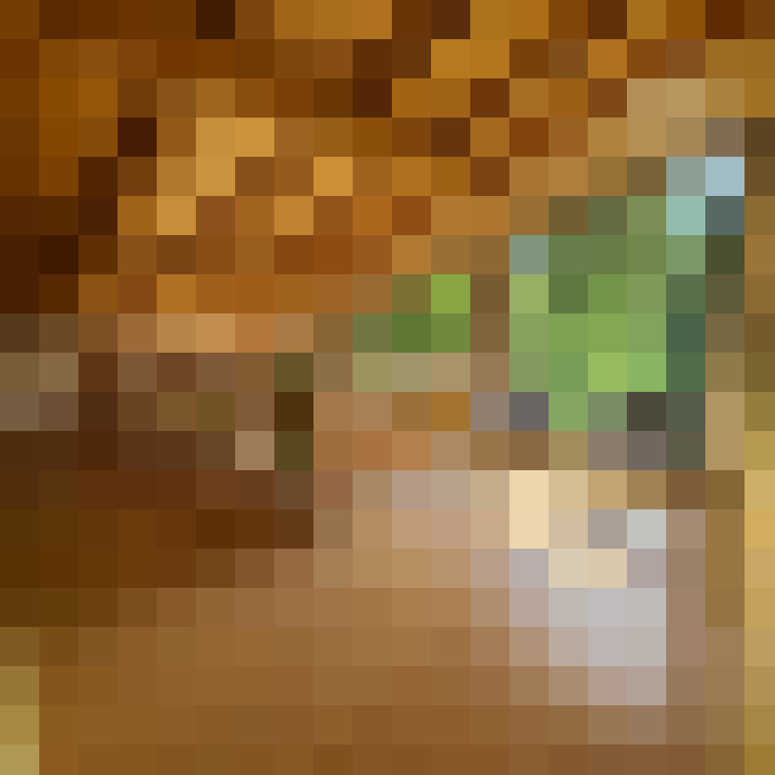 / #7