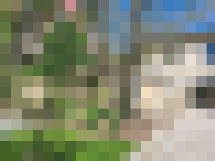  / #16
