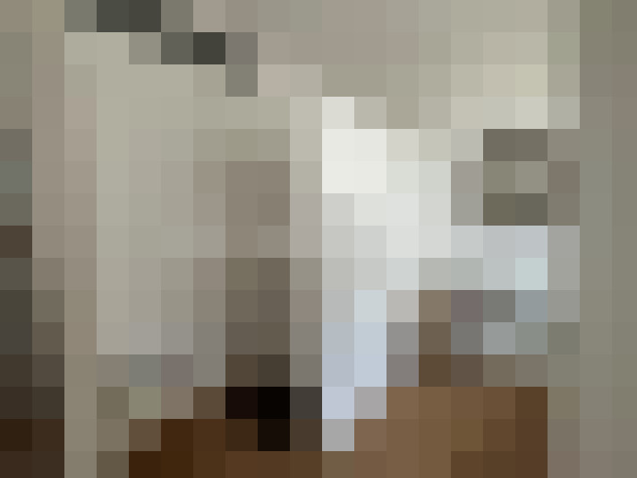  / #8