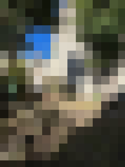  / #13