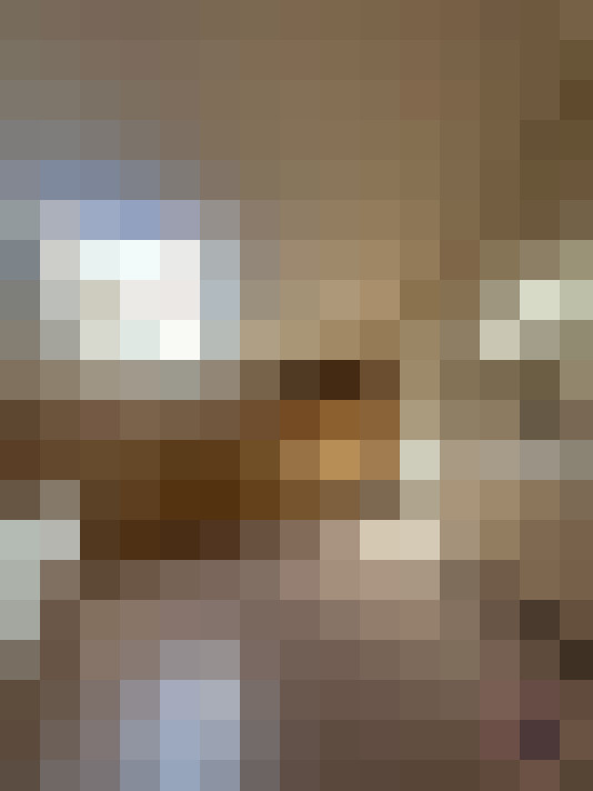  / #15