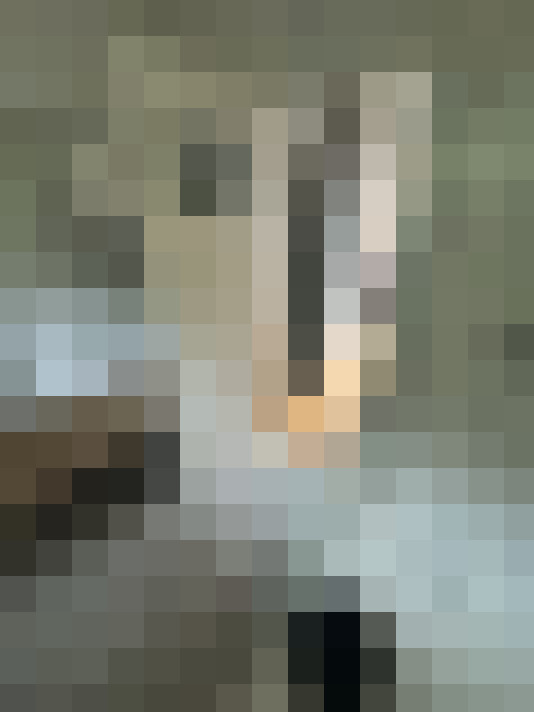  / #14