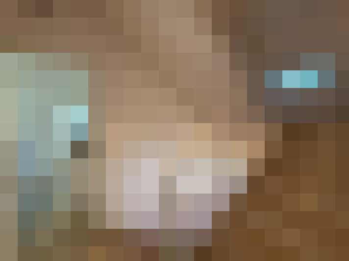  / #11